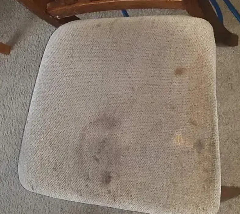 Before image of dirty chair