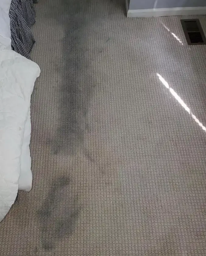 carpet after professional cleaning