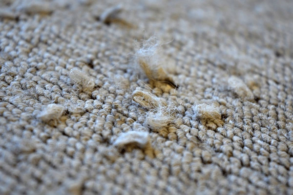 Pile damage on rug